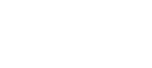 firsteps logo white